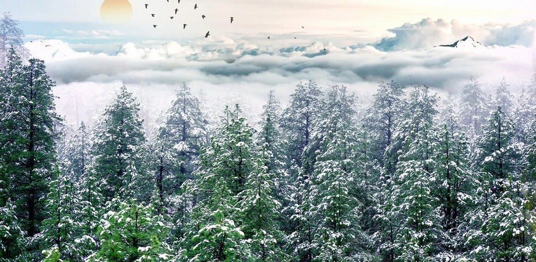 Bathroom wallpaper fir forest snow