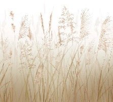 Wheat field flower wallpaper