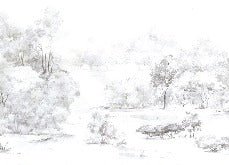 Watercolor pine forest wallpaper