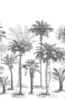 Papier peint Jungle Black & White, XXL, tendance