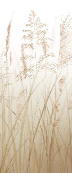 Wheat field flower wallpaper