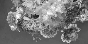 Black and white peony flower wallpaper