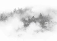 Cimes mist wallpaper grey