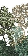 Forest landscape engraving wallpaper