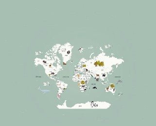 Children's French world map wallpaper green
