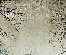 Enchanted Forest wallpaper