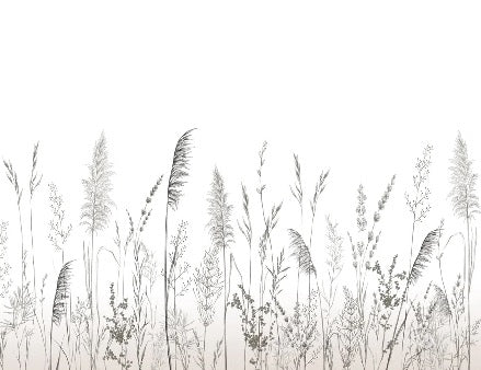Poetic pampas wallpaper