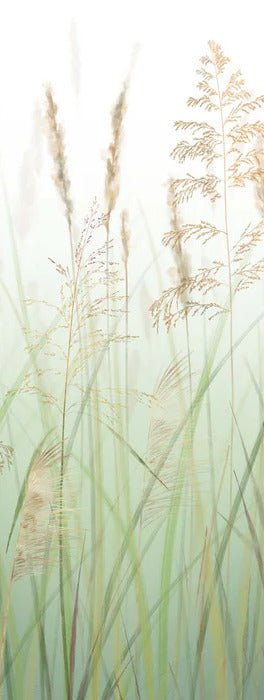 Green wheat field flower wallpaper