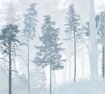 Scandinavian blue forest panoramic wallpaper