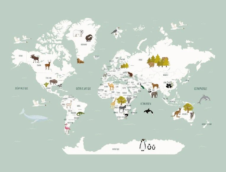Children's French world map wallpaper green