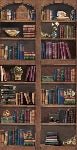 Curiosity cabinet library wallpaper