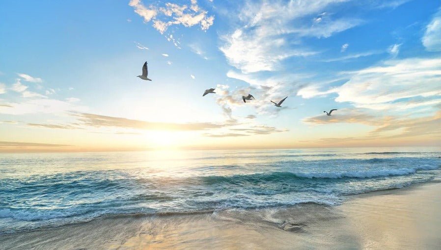 Paradise Beach wallpaper