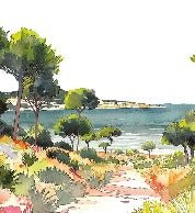 Panoramic summer air wallpaper