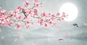 Poetic cherry blossom wallpaper