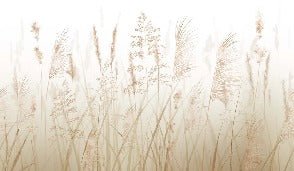 Wheat field flower wallpaper