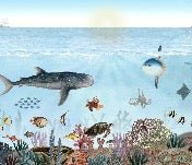 Sea animals wallpaper