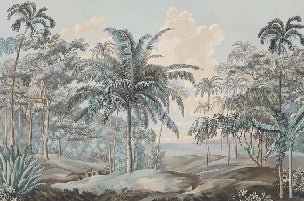 Blue Sulawesi landscape wallpaper