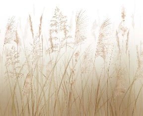 Wheat field flower wallpaper