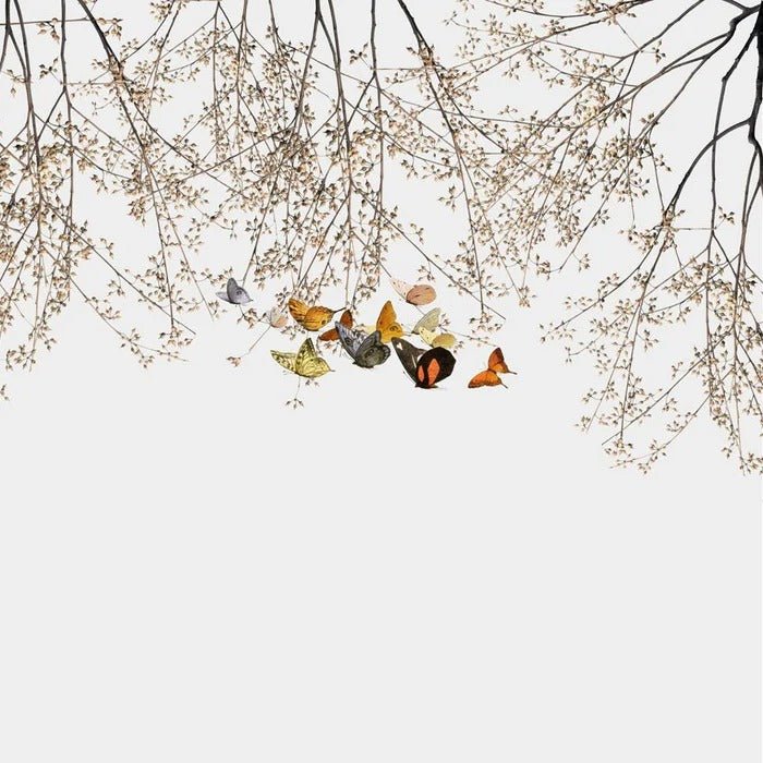 Branch & butterfly living room wallpaper