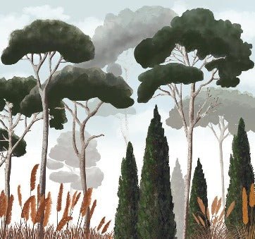 Custom wallpaper cypress pine and pampas grass