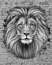 Majestic wild lion wallpaper