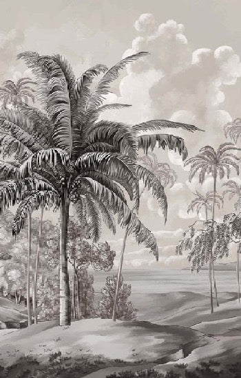 Black and white Celebes landscape wallpaper