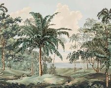 Celebes landscape wallpaper