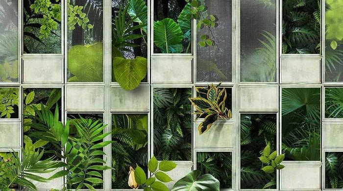 Panoramic canopy wallpaper nature plant