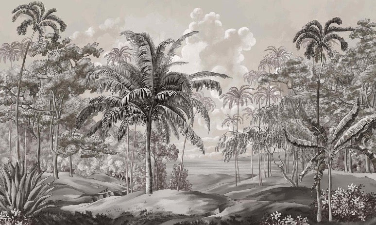 Black and white Sulawesi landscape wallpaper