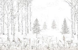 Black and white woodland wallpaper