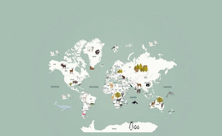 Children's French world map wallpaper green