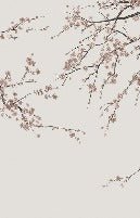 Sakura beige panoramic wallpaper