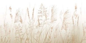 Wheat field flower wallpaper