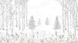 Black and white woodland softness wallpaper