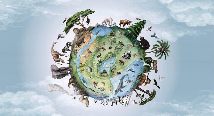 Papier peint enfant planète animaux, XXL, tendance