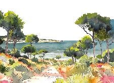 Panoramic summer air wallpaper