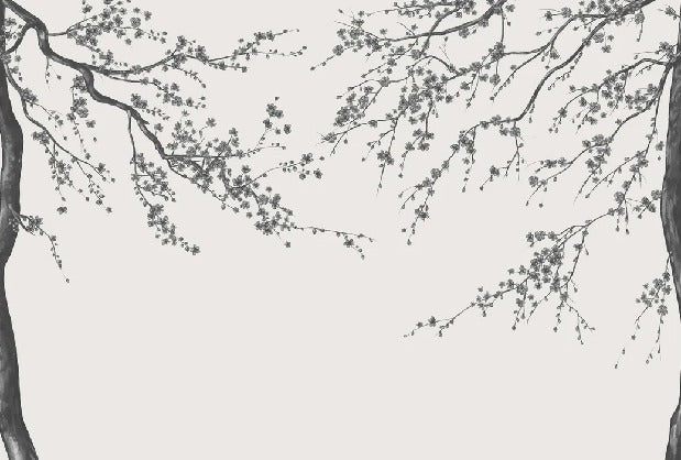 Black and white Sakura flower panoramic wallpaper