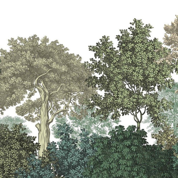 Landscape wallpaper forest engraving