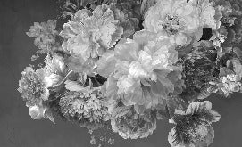 Black and white peony flower wallpaper