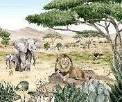 Children's wallpaper secret savannah