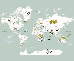 Children's French world map wallpaper green