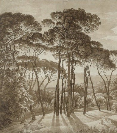 Amber Italian landscape panoramic wallpaper