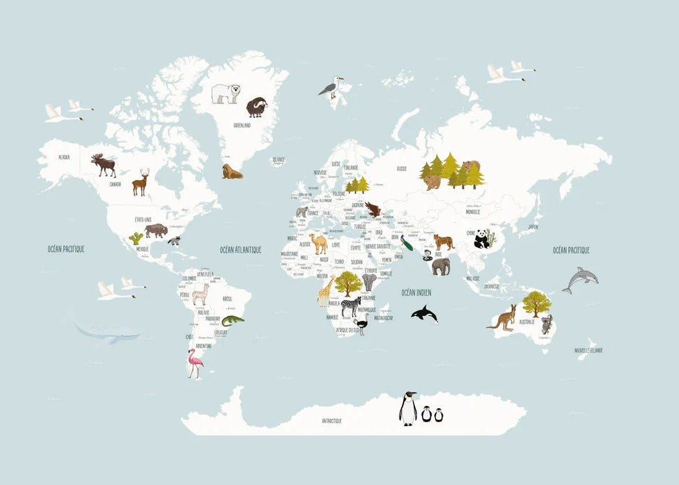 Wallpaper World Map in French for Children, Glacier Blue