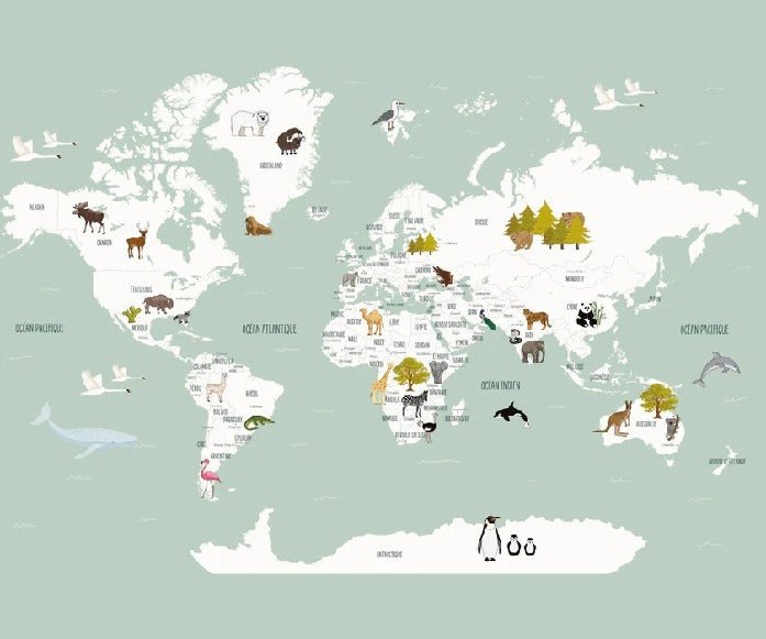 Children's French world map wallpaper green