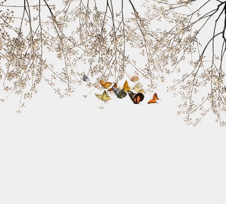 Branch & butterfly living room wallpaper