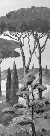 Wallpaper stroll in the calanques black and white