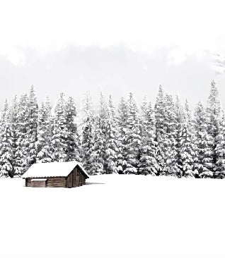 Panoramic mountain chalet wallpaper