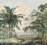 Sulawesi landscape wallpaper