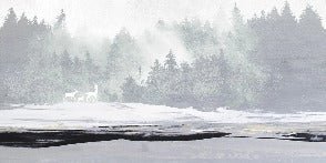 Misty forest and deer wallpaper