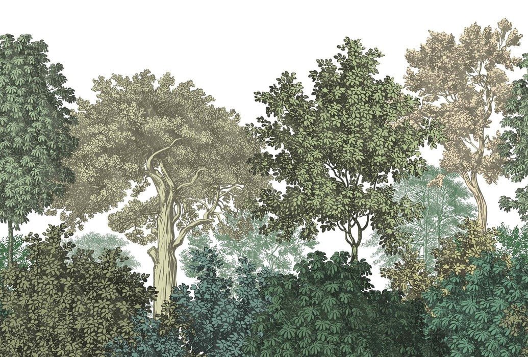 Wallpaper restaurant landscape forest engraving